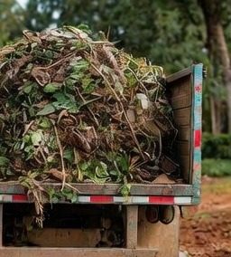 Cleanups & Hauling in New Port Richey, FL